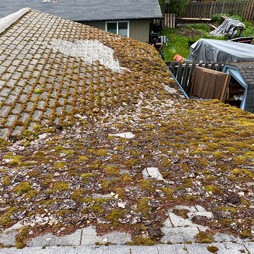 Spit Shine Gutter Cleaning LLC, Anchorage, Alaska, gutter cleaning, winter service plans, roof cleaning, exterior cleaning